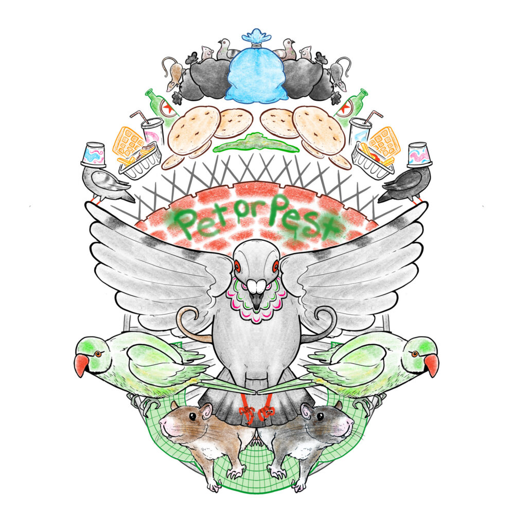 Pet or Pest |Afval op Pootjes. A project by Drawing the Times